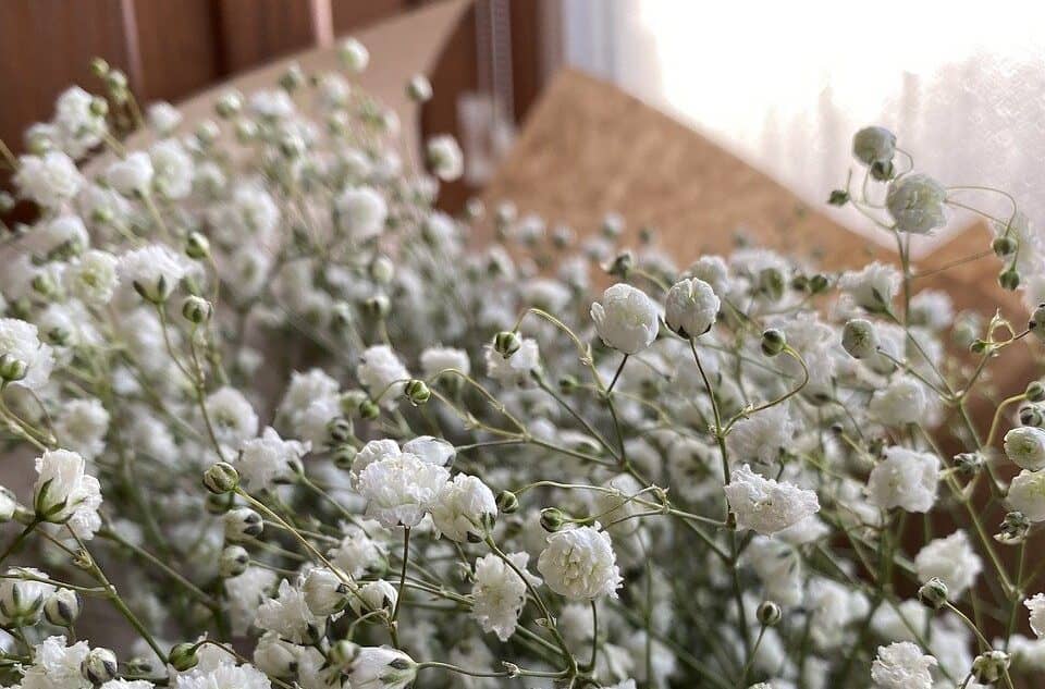 Beautiful but Affordable Wedding Centerpiece Ideas